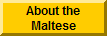 About the Maltese